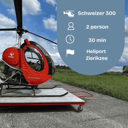 Schweizer 300